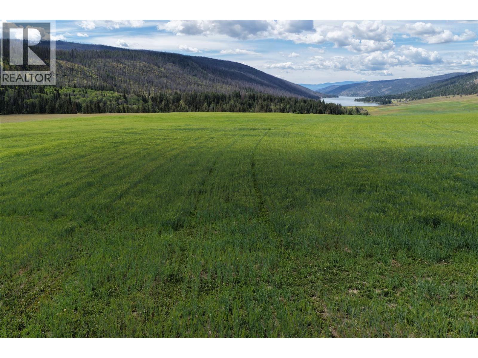 3850 Loon Lake Road - 24