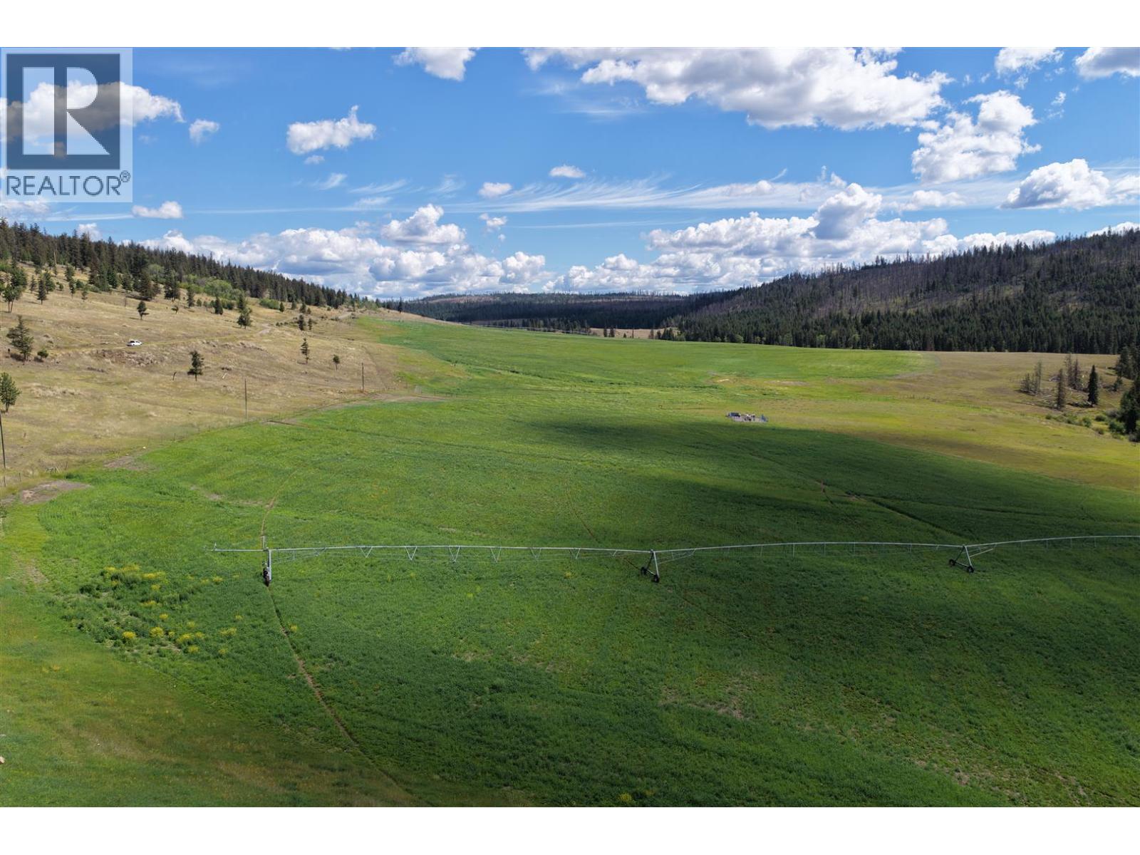 3850 Loon Lake Road - 9
