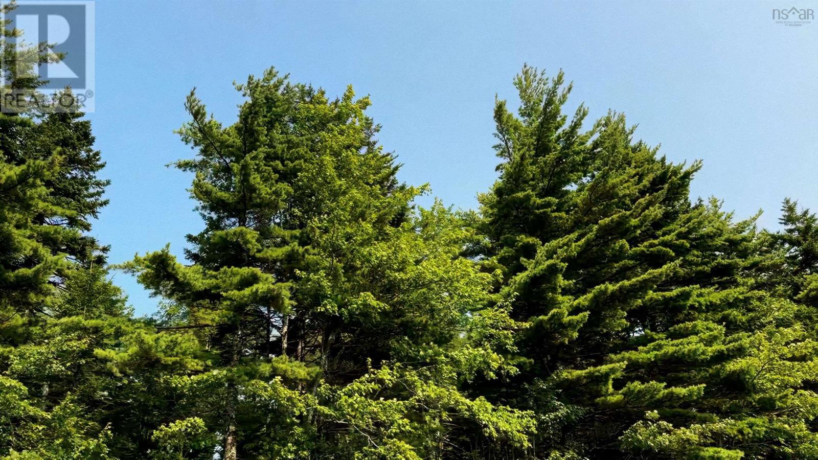 Property 14 of 24 of Lot 1 Robert E Road