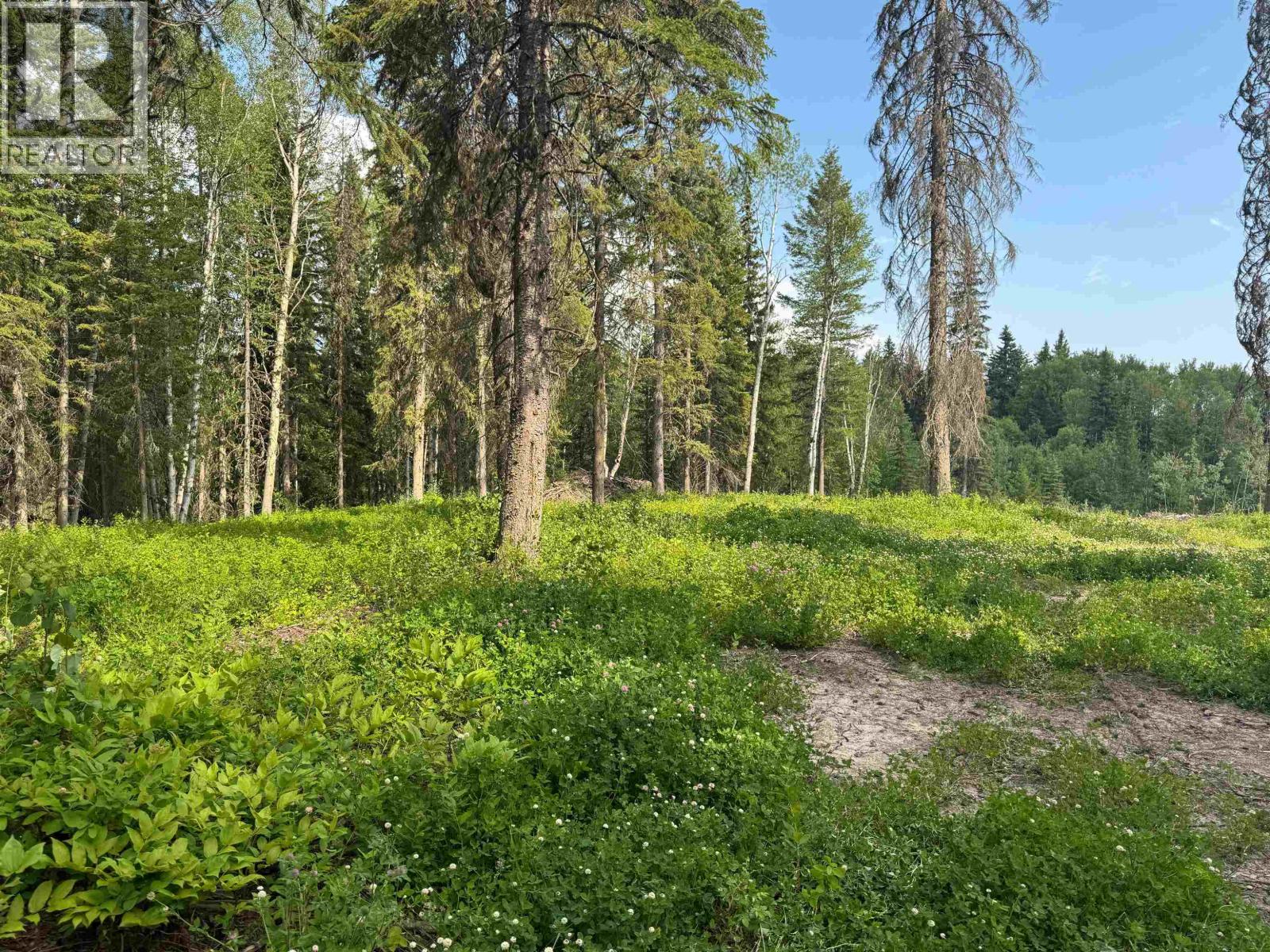 Photo 12 of 14 — LOT 6 SPONAUGLE ROAD · Prince George, BC