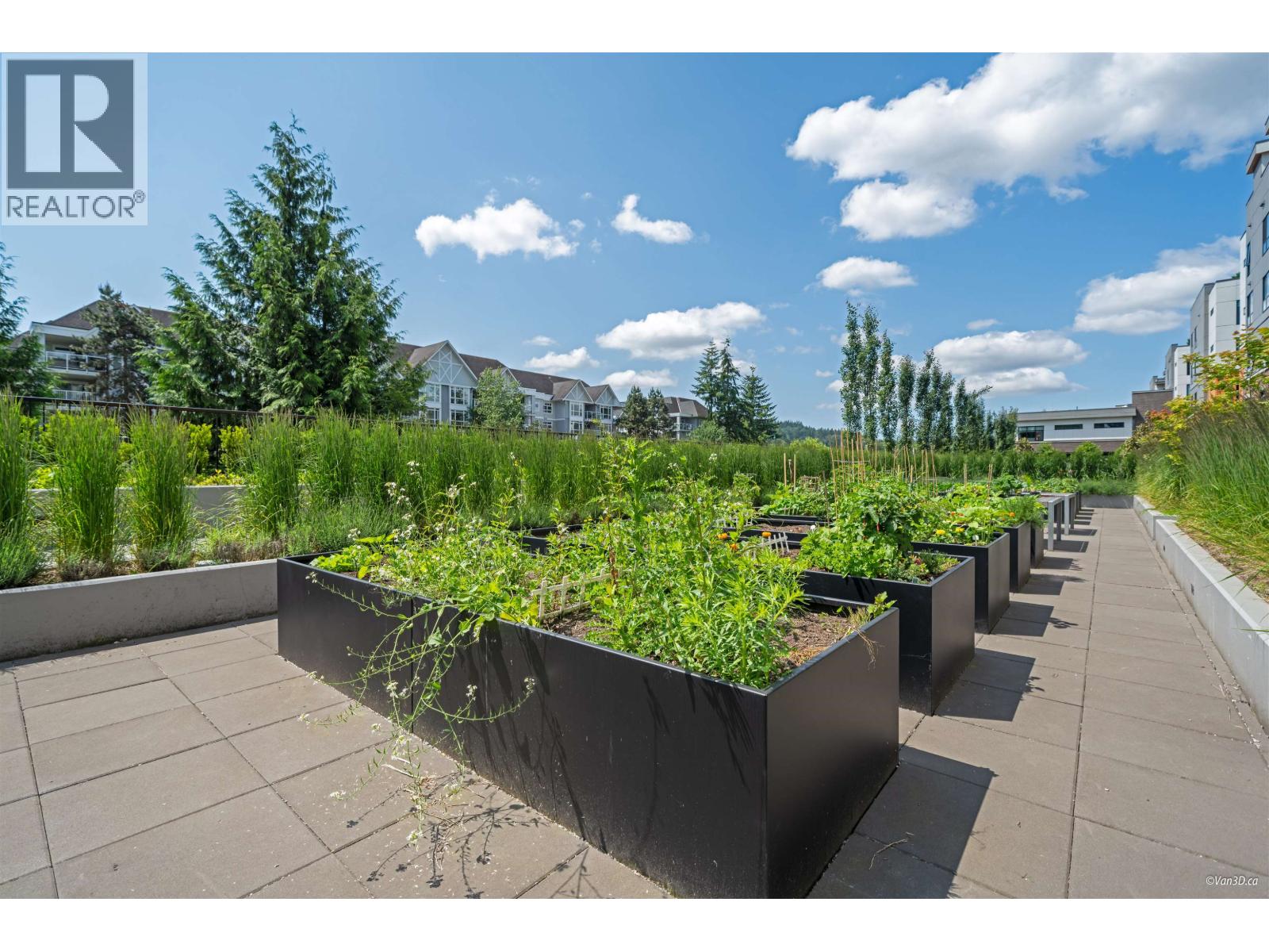 617 55 KLAHANIE DRIVE, Port Moody