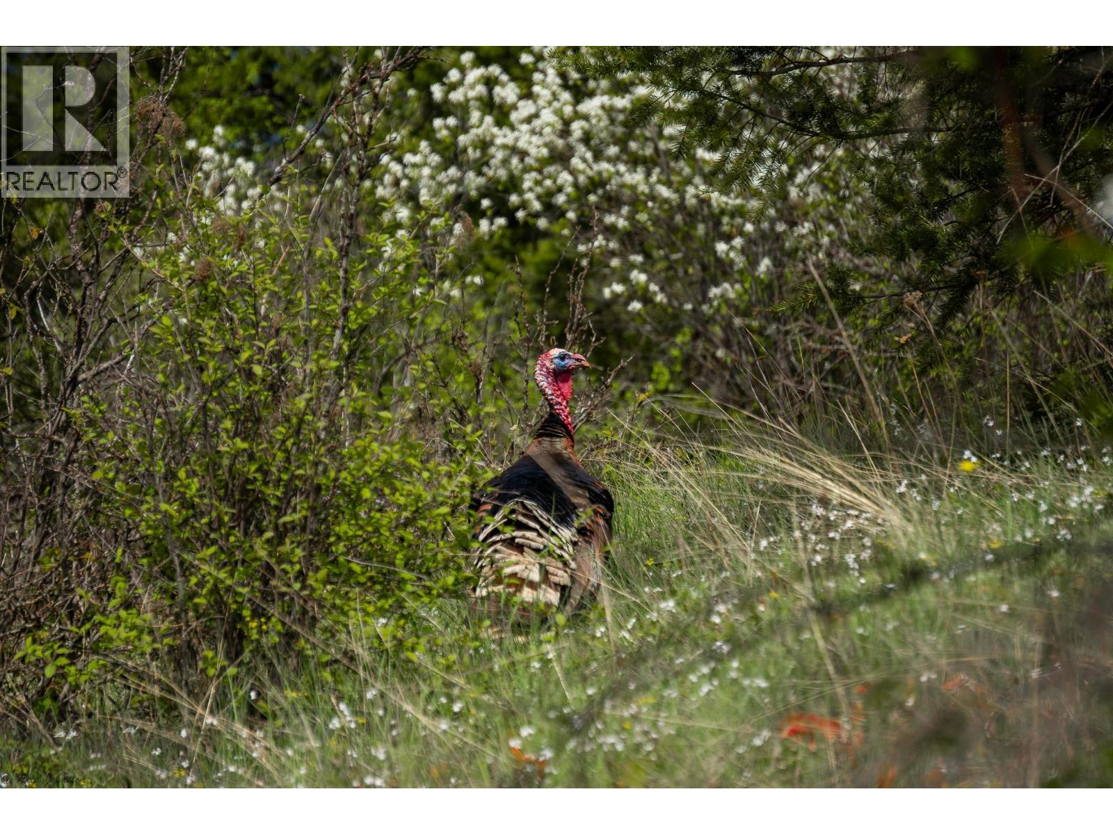 LOT C PHILLIPS ROAD - 14