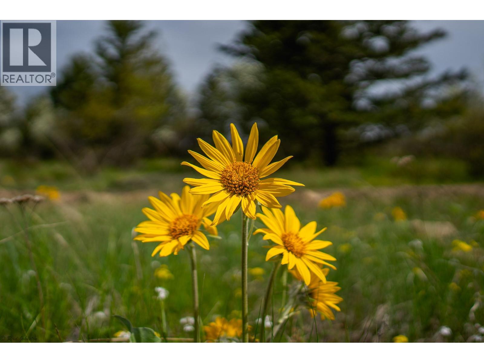 LOT C PHILLIPS ROAD - 13