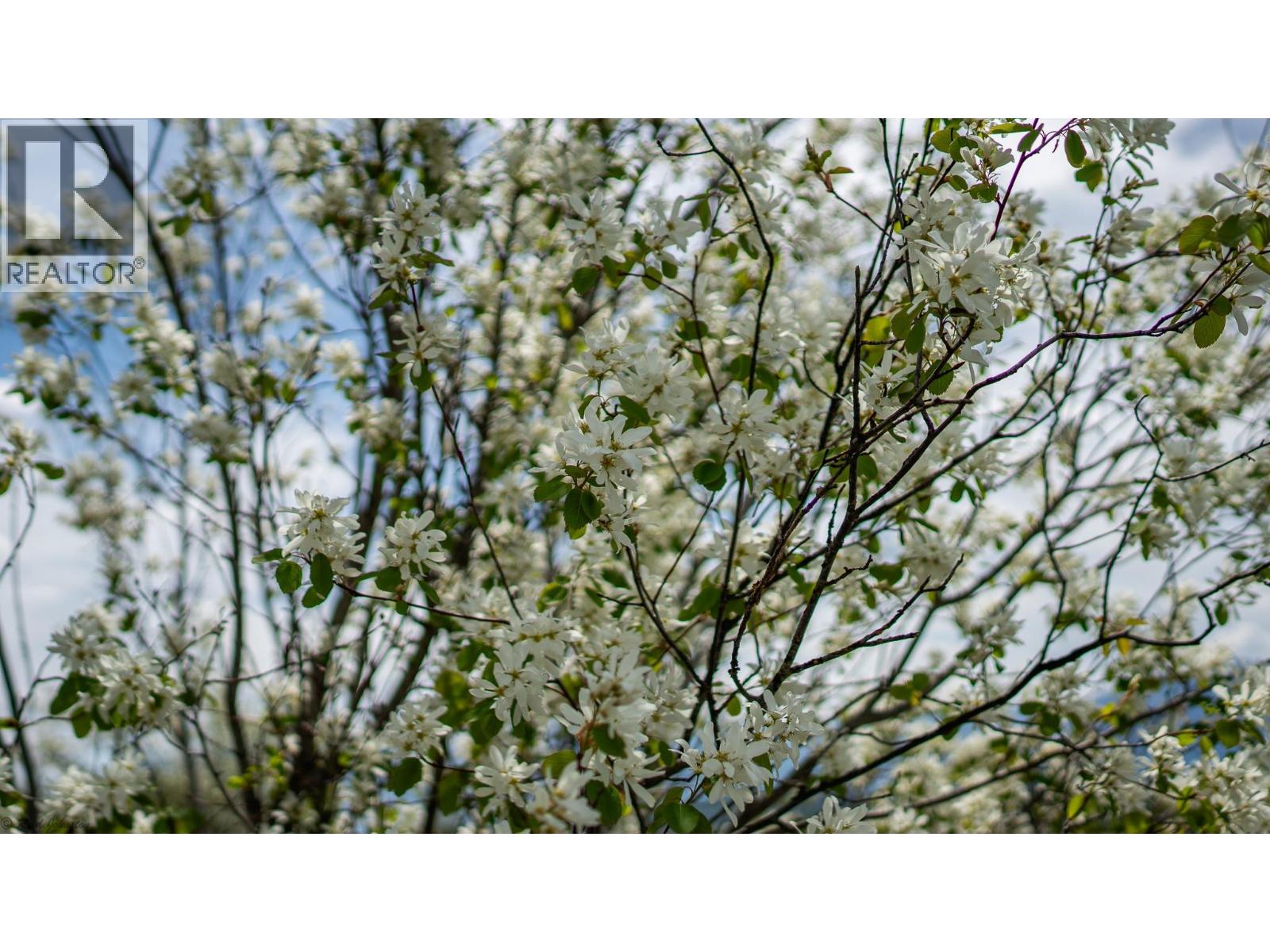 LOT B PHILLIPS ROAD - 10