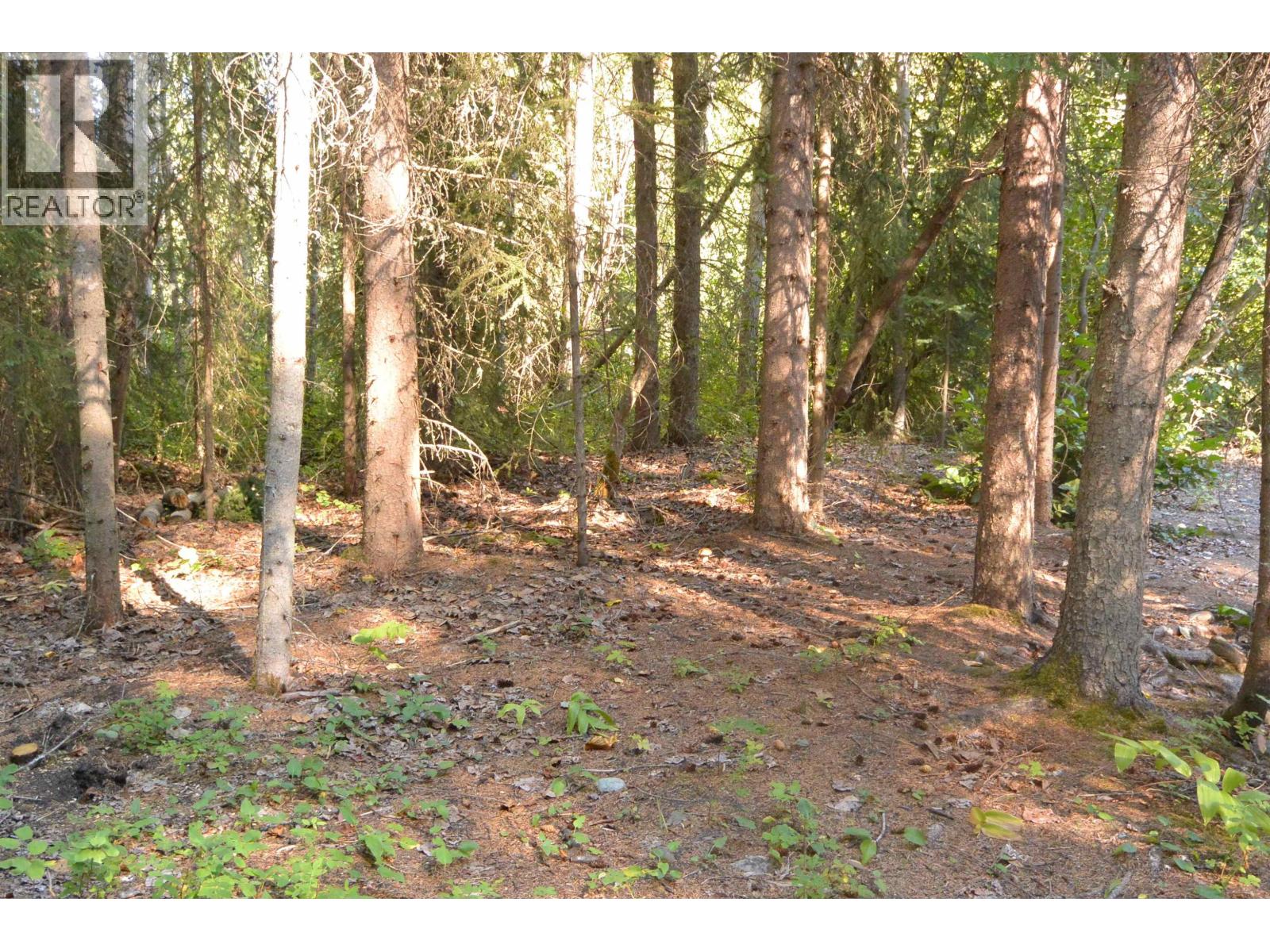 6035 OLD BABINE LAKE ROAD, Smithers