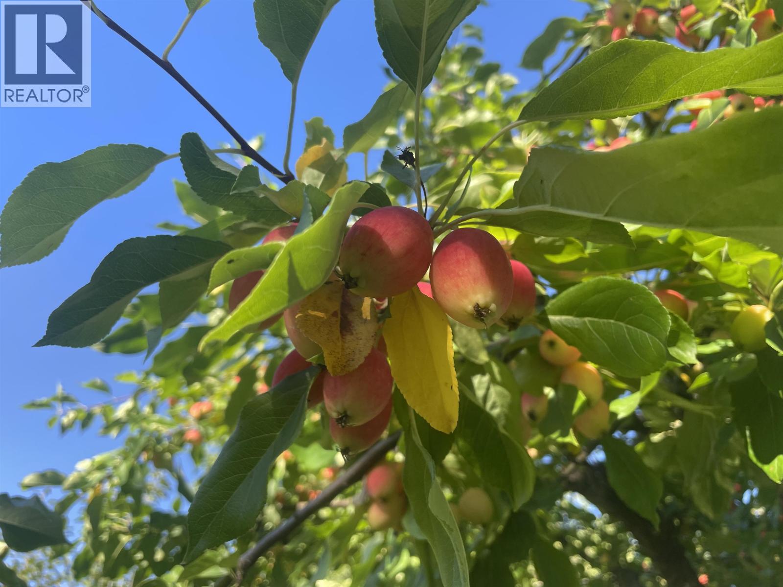 6035 OLD BABINE LAKE ROAD, Smithers