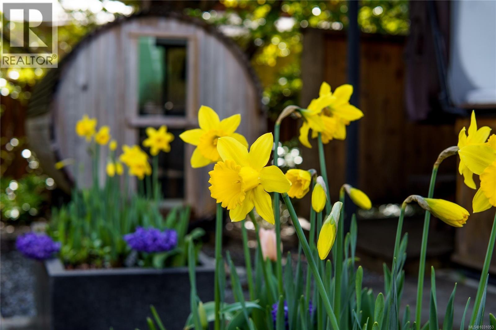 1108 Abraham Dr, Tofino