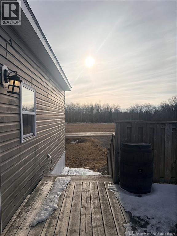 119 Biddington Avenue — photo 20