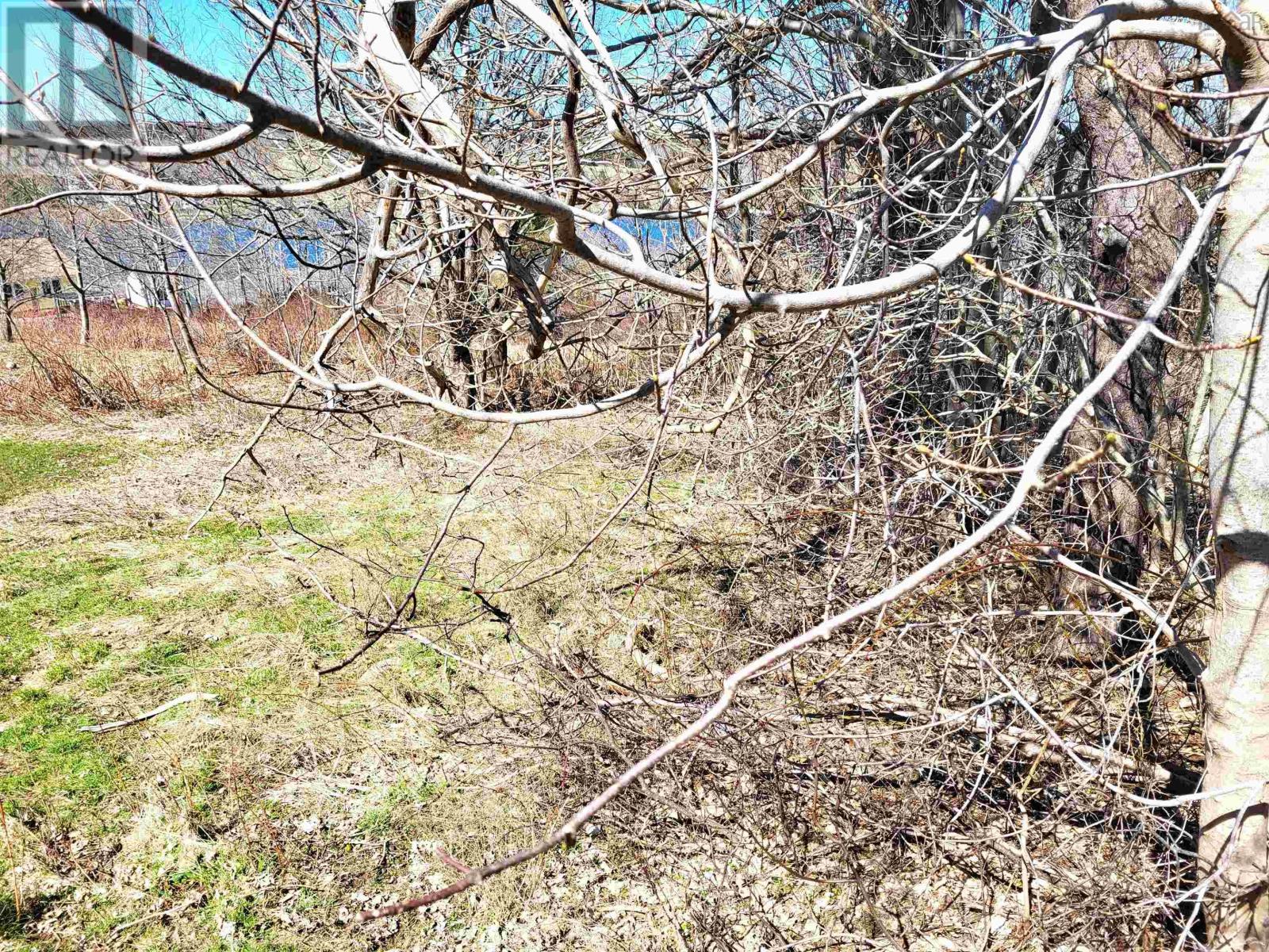 Property 15 of 22 of Lot 8 Creighton Street