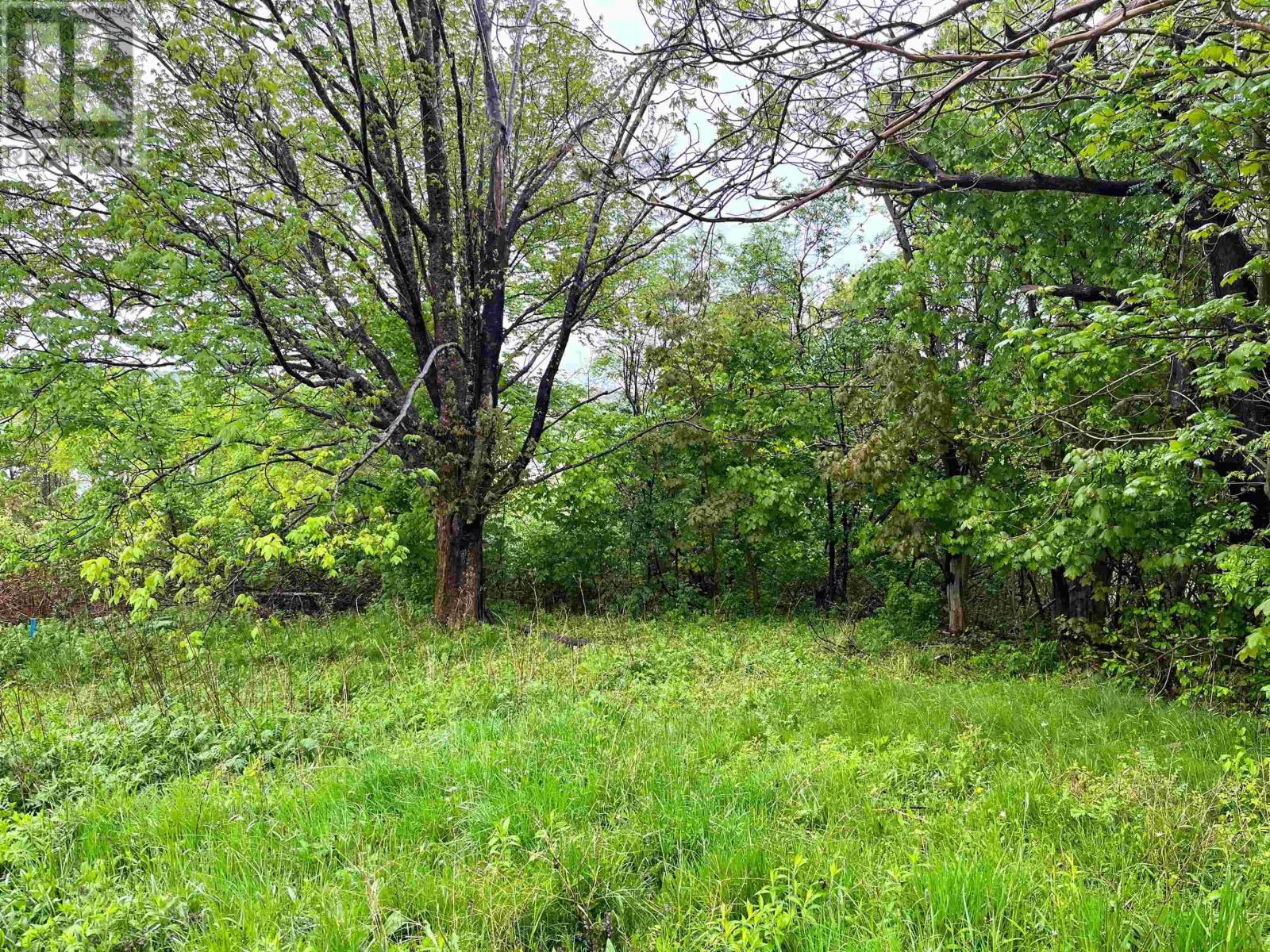 Property 5 of 22 of Lot 8 Creighton Street