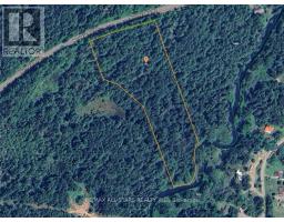 2348 Northeys Bay Road, North Kawartha, ON K0L2H0 Photo 7