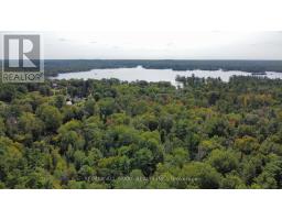 2348 Northeys Bay Road, North Kawartha, ON K0L2H0 Photo 6