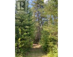 4650 Hwy 11/17, Oliver Paipoonge, ON P7K0J1 Photo 20
