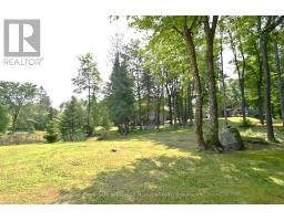 2411 Hwy. 118 E. Highway, Bracebridge, ON P1L1X1 Photo 37