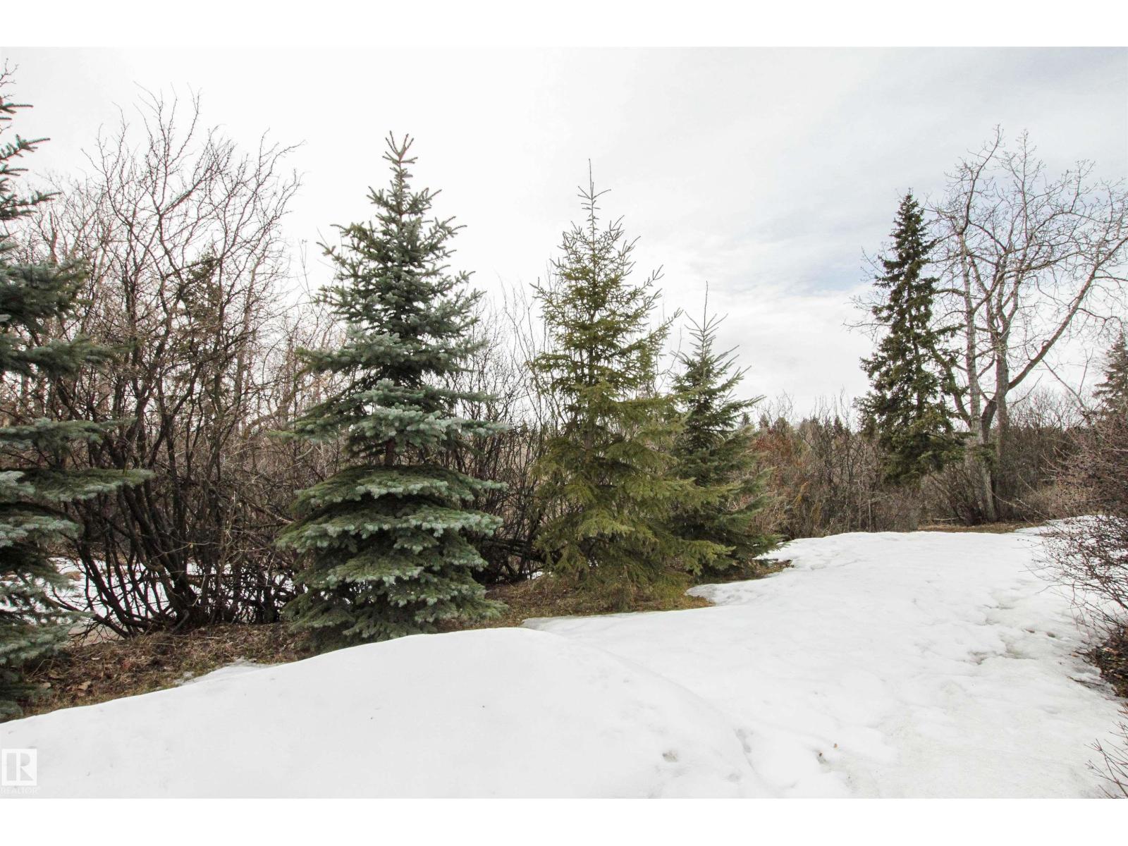 9539 88 AV NW, Edmonton