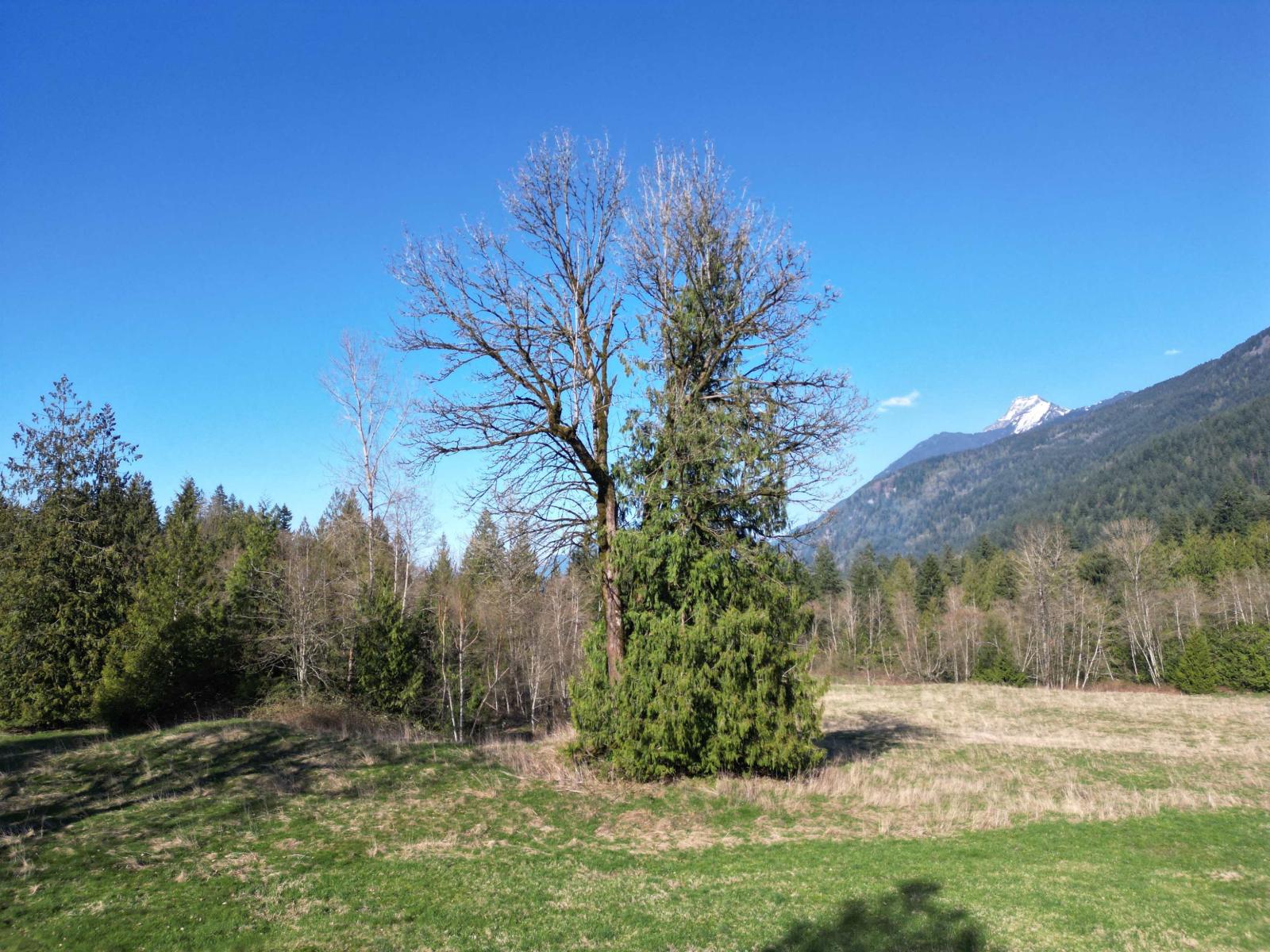 52300 ALLAN ROAD, Eastern Hillsides, Chilliwack