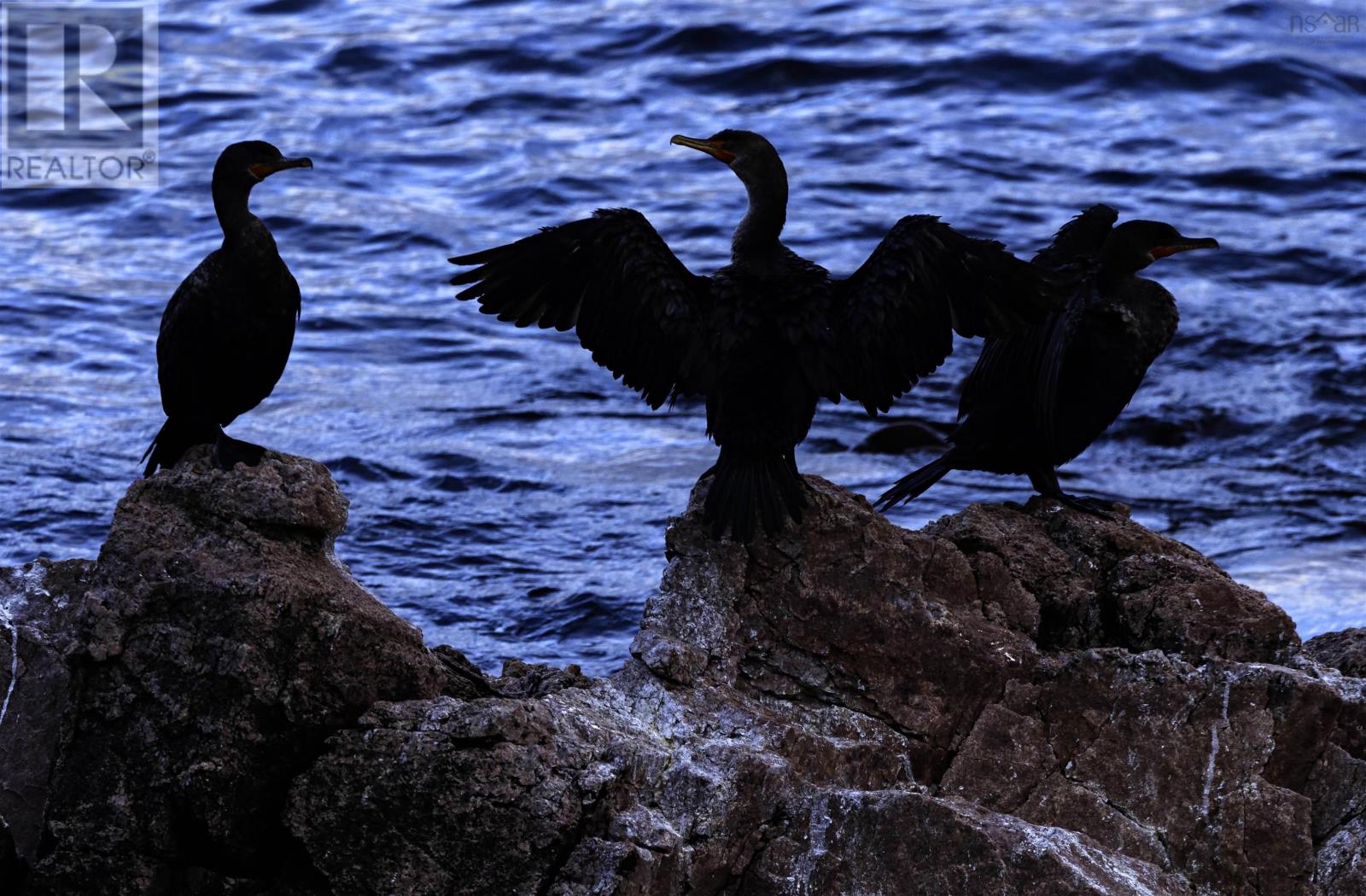 Property 44 of 51 of 31 Osprey Lane