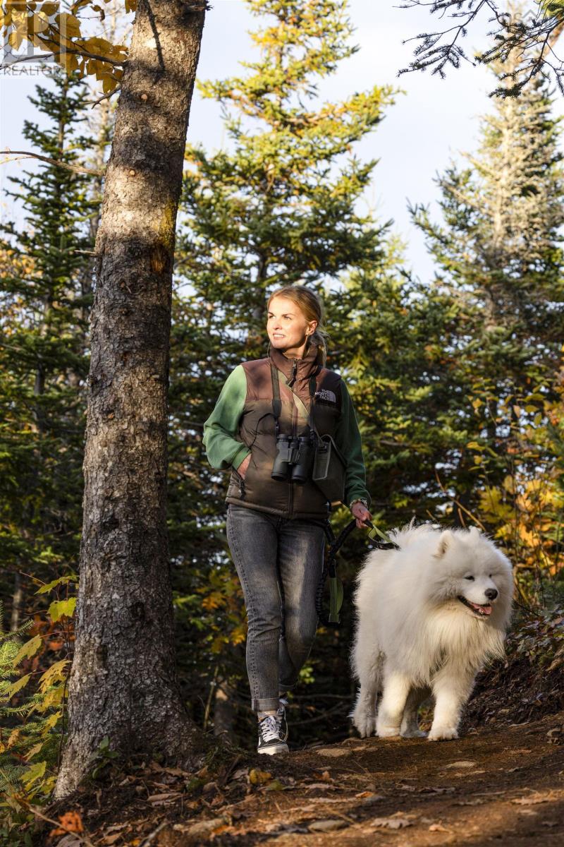 Property 45 of 51 of 31 Osprey Lane