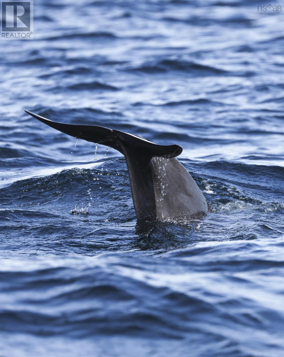 Property 41 of 51 of 9 Osprey Lane