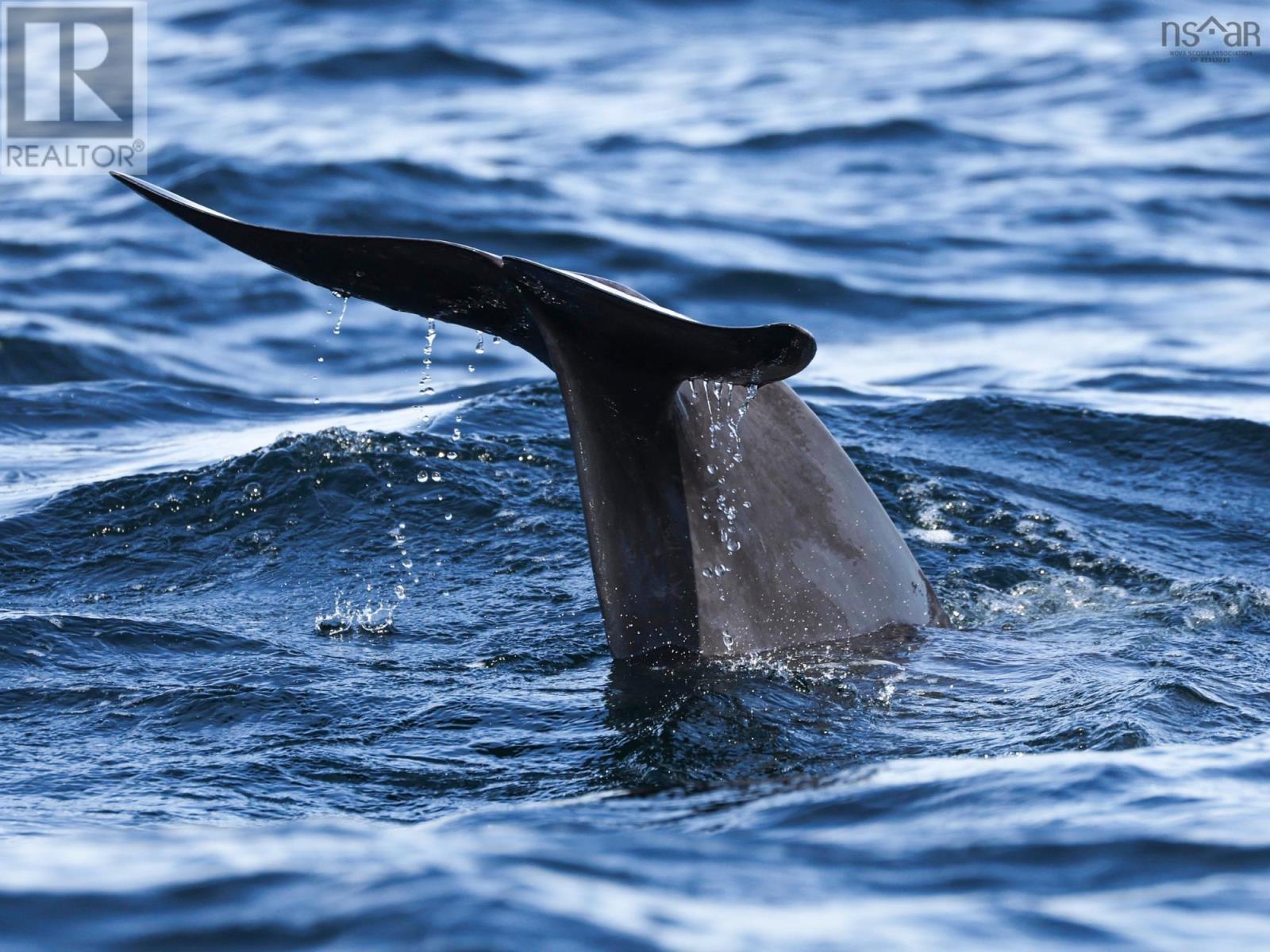 Property 18 of 30 of Unit 301 38693 Cabot Trail