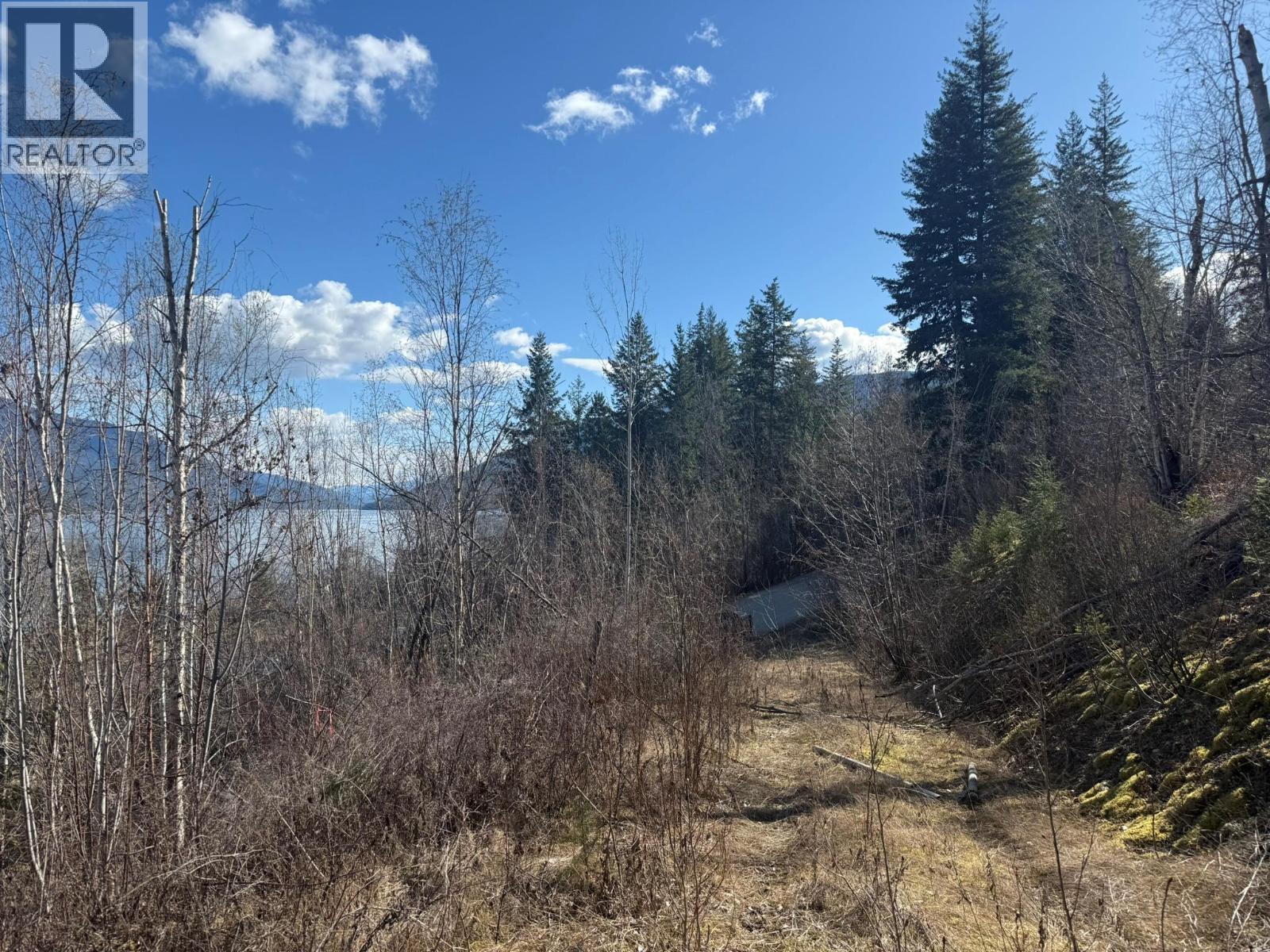  2230 CANOE BEACH Drive Northeast, Salmon Arm