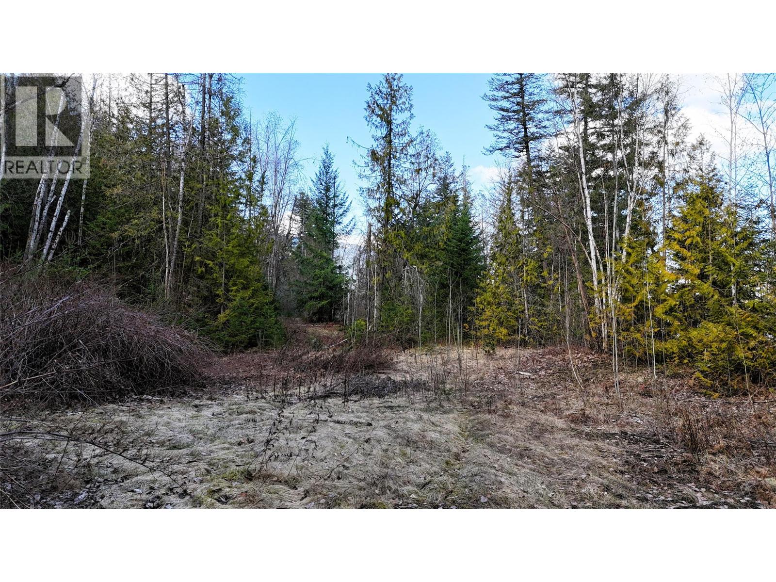  2230 CANOE BEACH Drive Northeast, Salmon Arm