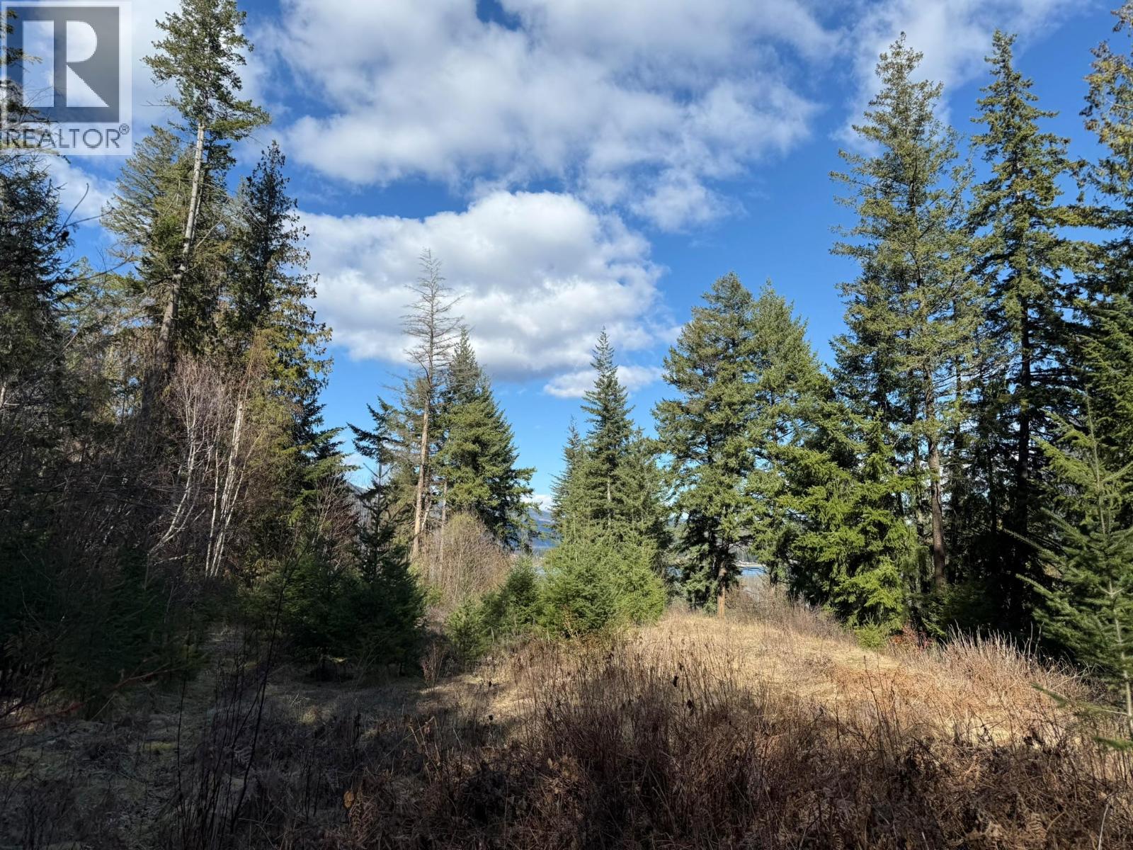  2230 CANOE BEACH Drive Northeast, Salmon Arm