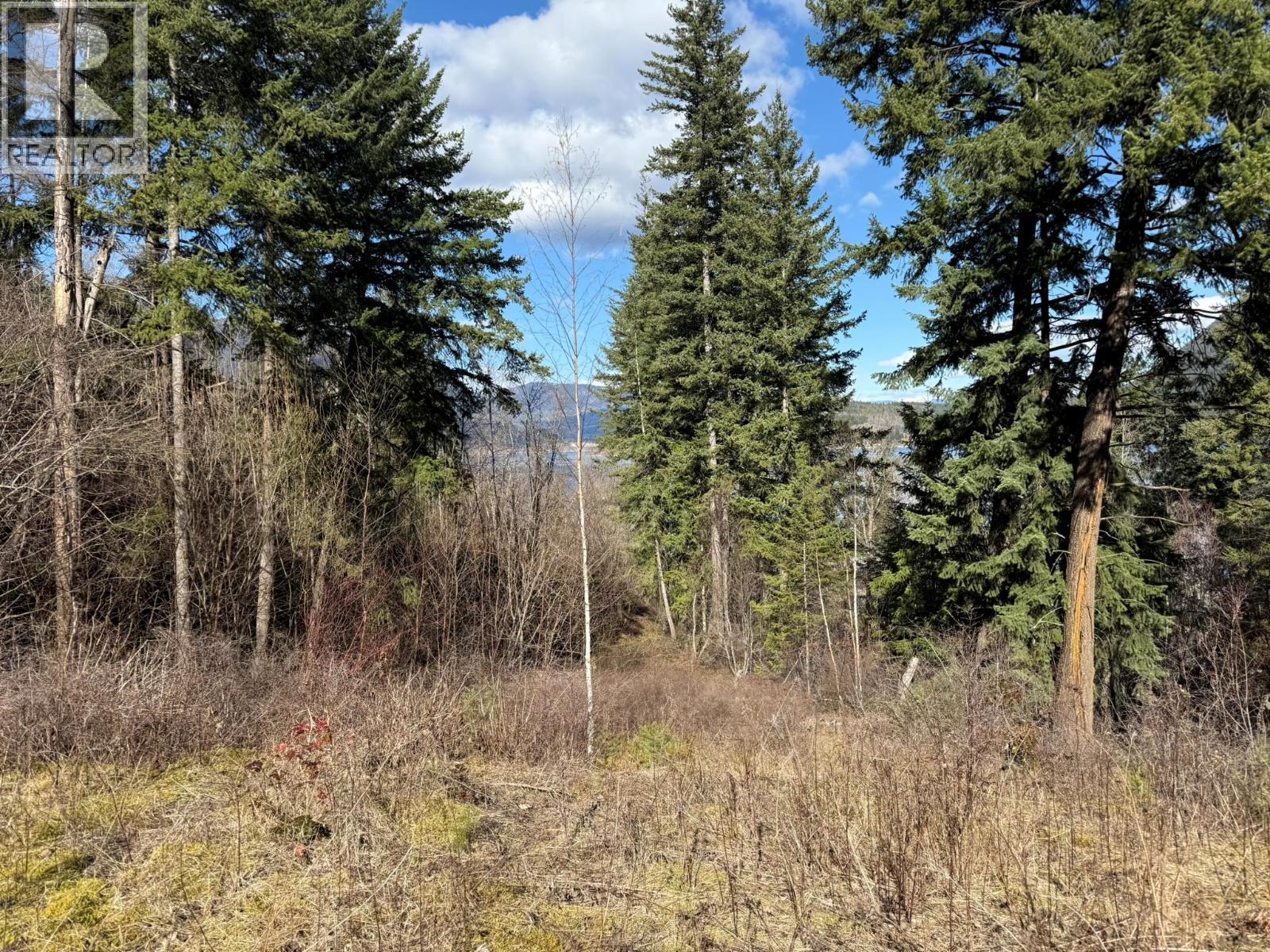  2230 CANOE BEACH Drive Northeast, Salmon Arm