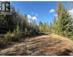 2230 Canoe Beach Drive Ne Lot# 3, Salmon Arm, BC V1E1K0 Photo 22