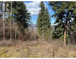 2230 Canoe Beach Drive Ne Lot# 3, Salmon Arm, BC V1E1K0 Photo 27