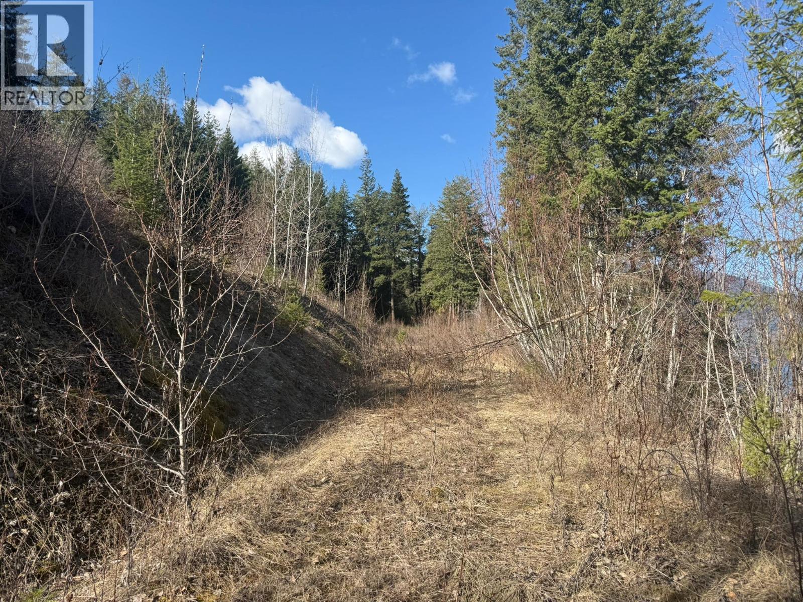  2230 CANOE BEACH Drive Northeast, Salmon Arm