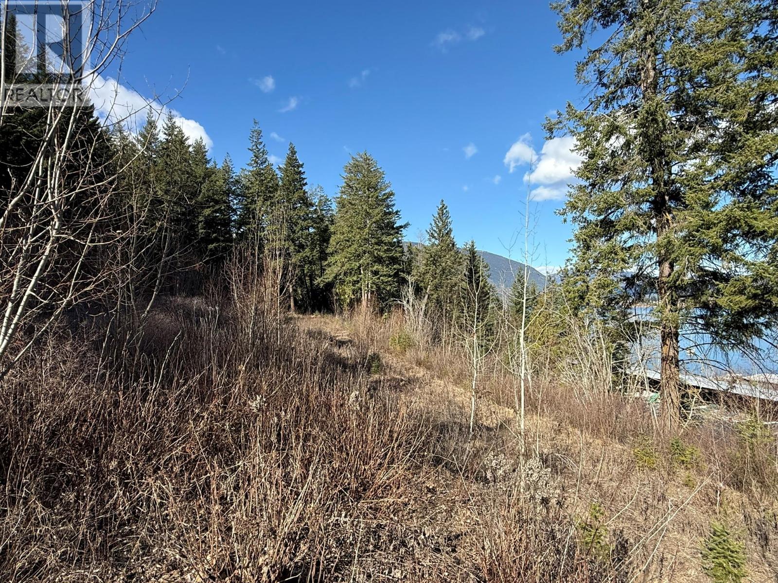  2230 CANOE BEACH Drive Northeast, Salmon Arm