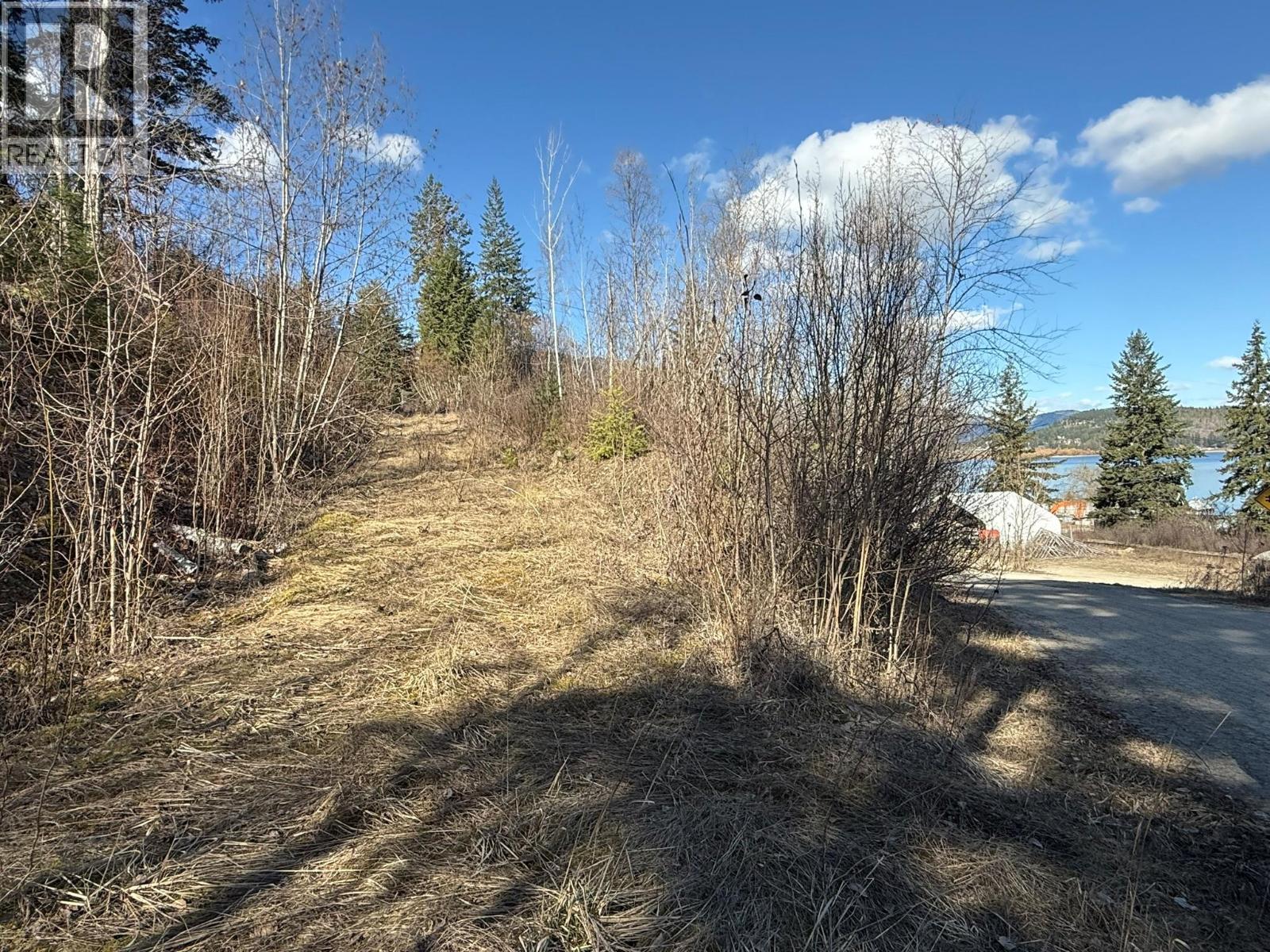  2230 CANOE BEACH Drive Northeast, Salmon Arm