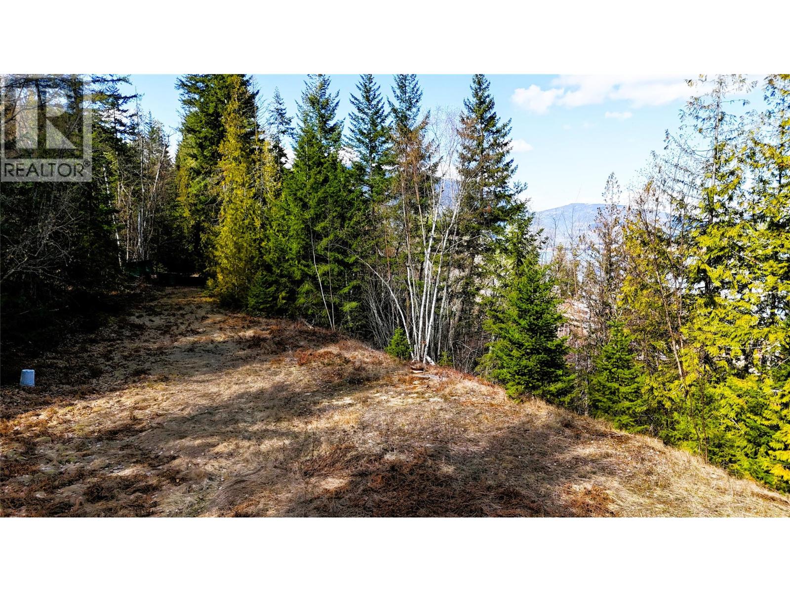  2230 CANOE BEACH Drive Northeast, Salmon Arm