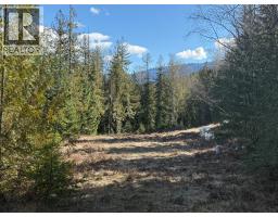 2230 Canoe Beach Drive Ne Lot# 3, Salmon Arm, BC V1E1K0 Photo 19