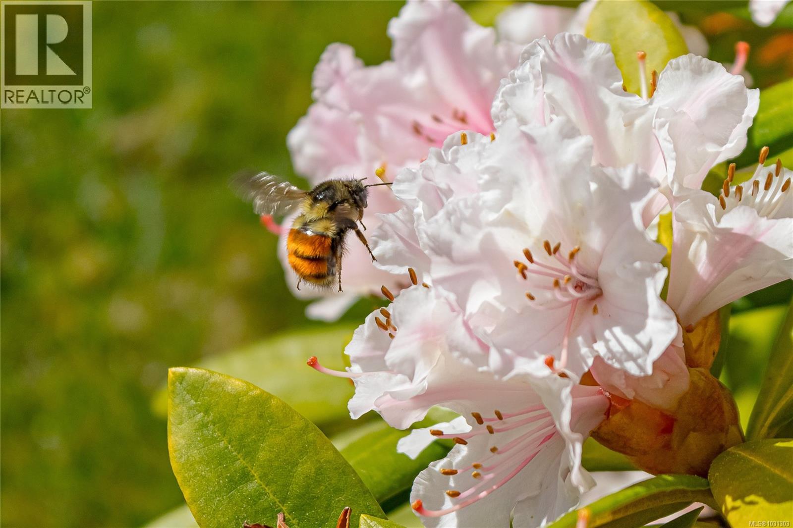 5340 Gainsberg Rd, Bowser