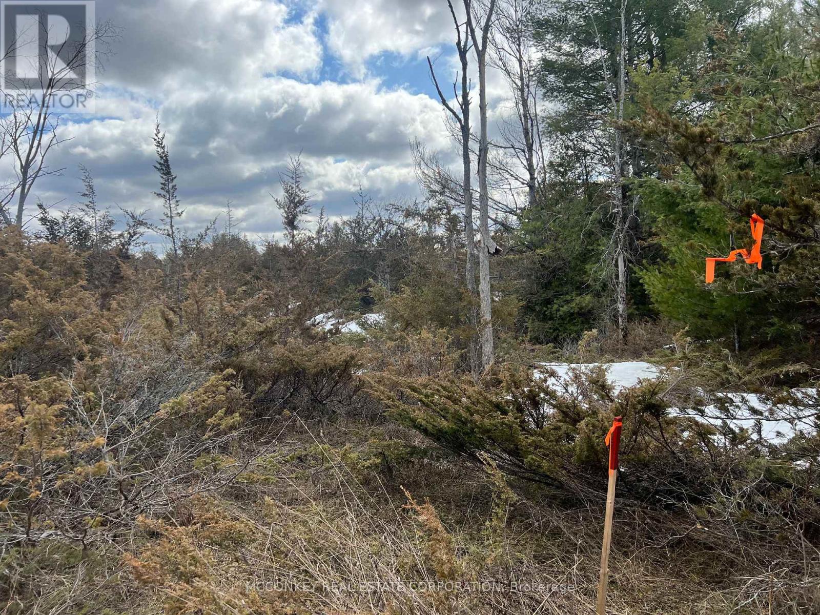 00 N. DUMMER 7TH LINE ROAD — photo 16