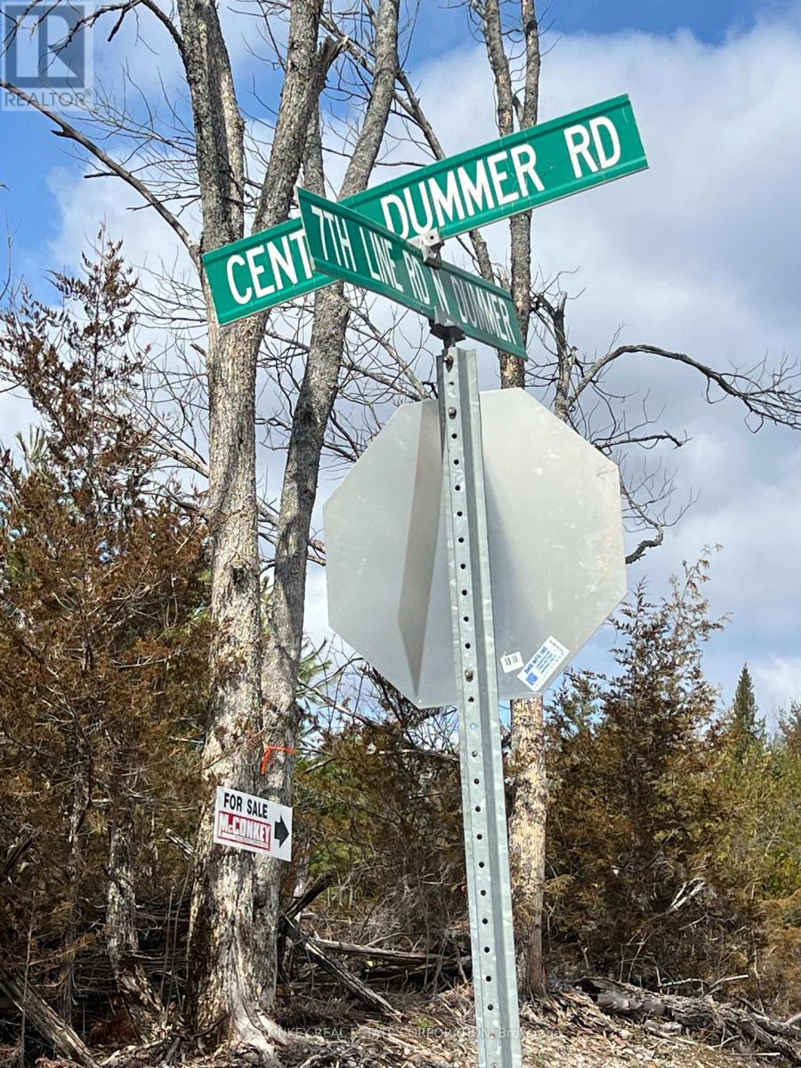 00 N. DUMMER 7TH LINE ROAD — photo 19