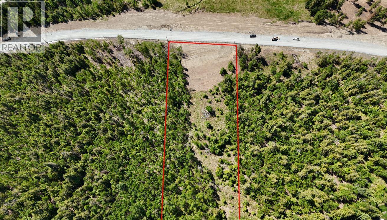 Lot 6 Lonneke Trail Lot# 6, Anglemont