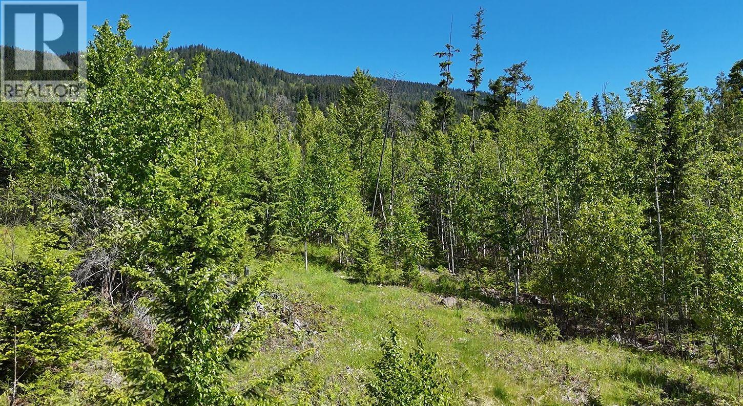 Lot 6 Lonneke Trail Lot# 6, Anglemont