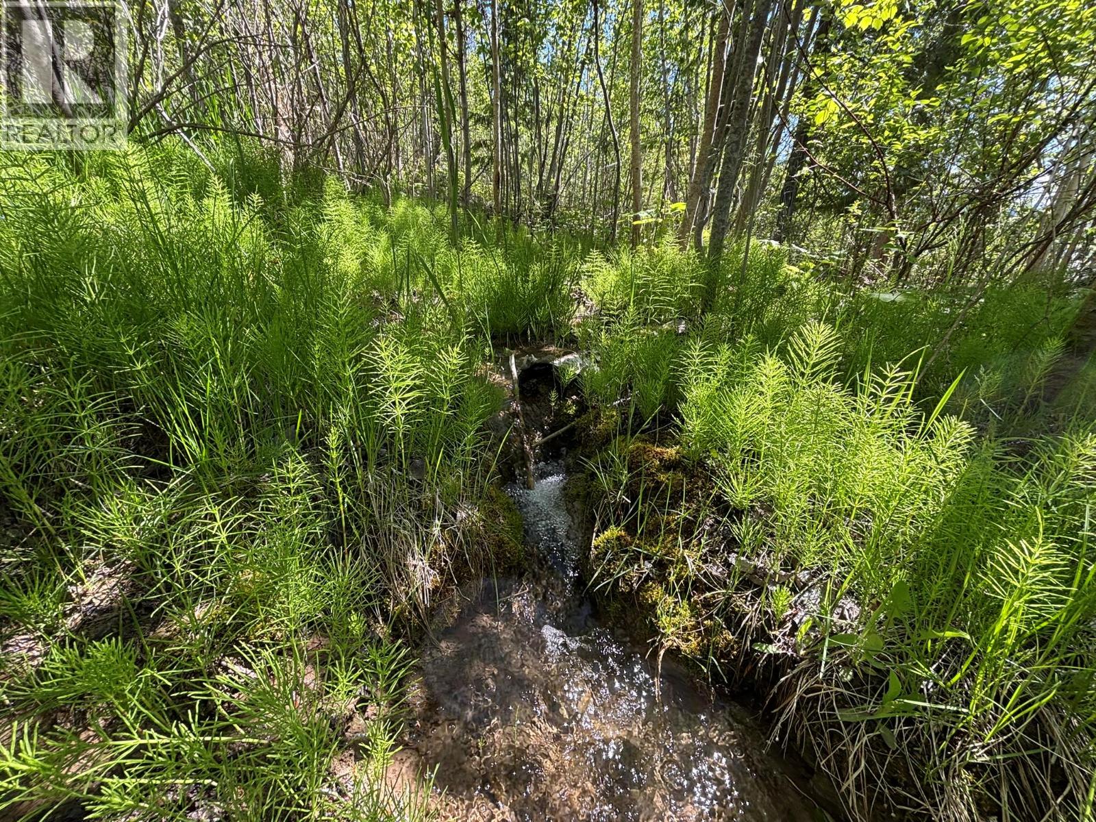 Lot 6 Lonneke Trail Lot# 6, Anglemont