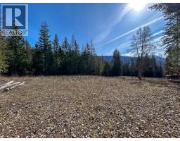 362 Meadow Creek Road, Meadow Creek, BC V0G1N0 Photo 13
