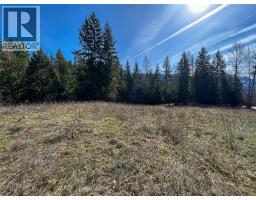362 Meadow Creek Road, Meadow Creek, BC V0G1N0 Photo 9