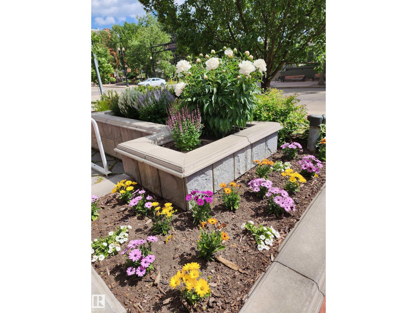 603 10504 99 AV NW, Edmonton