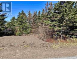 Lot 3 Shore Road, Youngs Cove, NS B0S1C0 Photo 11