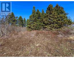 Lot 2 Shore Road, Youngs Cove, NS B0S1C0 Photo 18