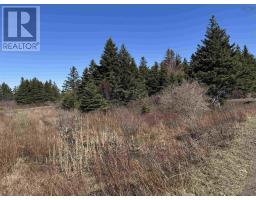 Lot 3 Shore Road, Youngs Cove, NS B0S1C0 Photo 8