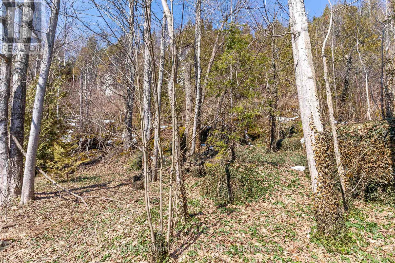 121 MALLORY BEACH ROAD — photo 37