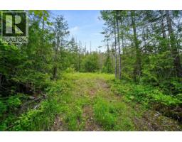 Ph 3 Tatlow Road Se Lot# 4, Salmon Arm, BC V1E2P8 Photo 10
