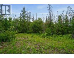 Ph 3 Tatlow Road Se Lot# 4, Salmon Arm, BC V1E2P8 Photo 13